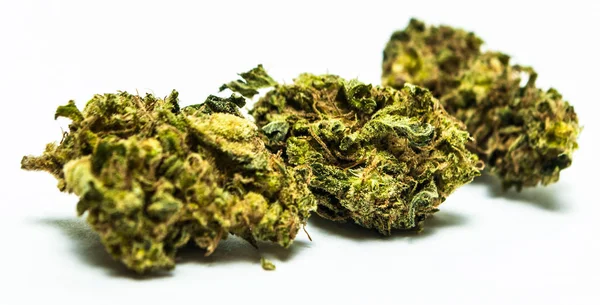 Begreppsmässig Sammansättning Marijuana Isolerad Vit Bakgrund — Stockfoto