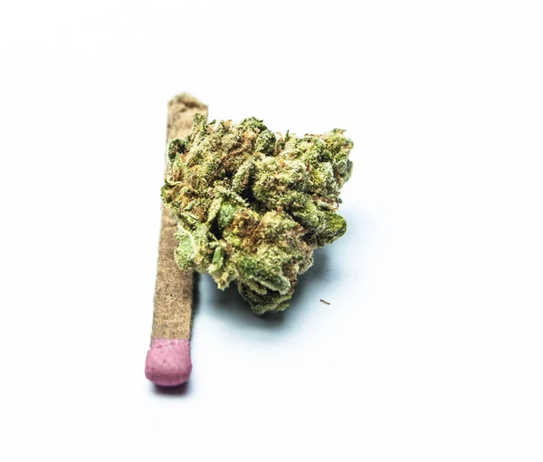 Conceptuele Samenstelling Van Marihuana Geïsoleerd Witte Achtergrond — Stockfoto