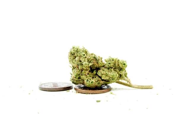 Begreppsmässig Sammansättning Marijuana Isolerad Vit Bakgrund — Stockfoto