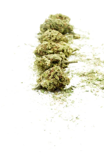 Konzeptionelle Zusammensetzung Von Marihuana Isoliert Auf Weißem Hintergrund — Stockfoto