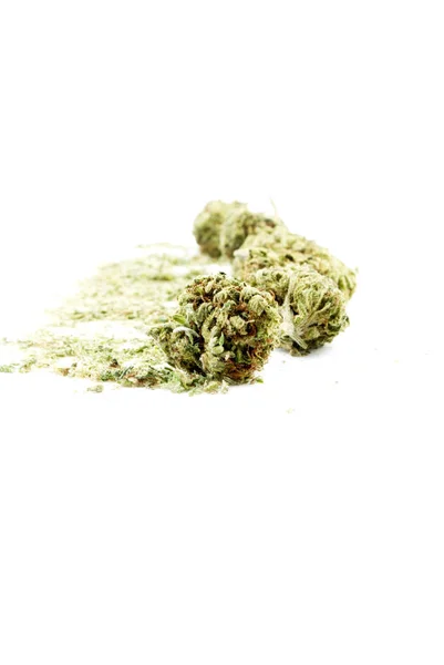 Konzeptionelle Zusammensetzung Von Marihuana Isoliert Auf Weißem Hintergrund — Stockfoto