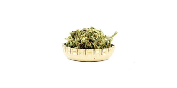 Composição Conceitual Maconha Isolada Fundo Branco — Fotografia de Stock