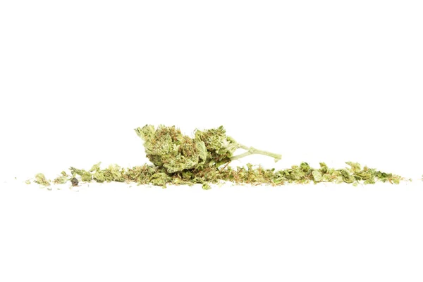 Konzeptionelle Zusammensetzung Von Marihuana Isoliert Auf Weißem Hintergrund — Stockfoto