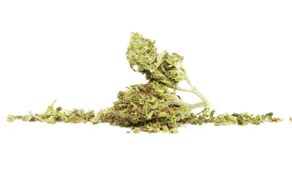 Begreppsmässig Sammansättning Marijuana Isolerad Vit Bakgrund — Stockfoto