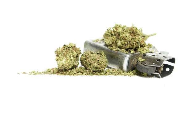 Composition Conceptuelle Marijuana Isolée Sur Fond Blanc — Photo