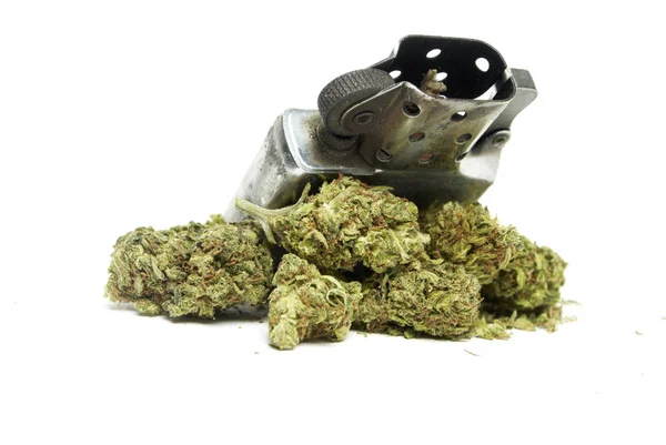 Conceptuele Samenstelling Van Marihuana Geïsoleerd Witte Achtergrond — Stockfoto