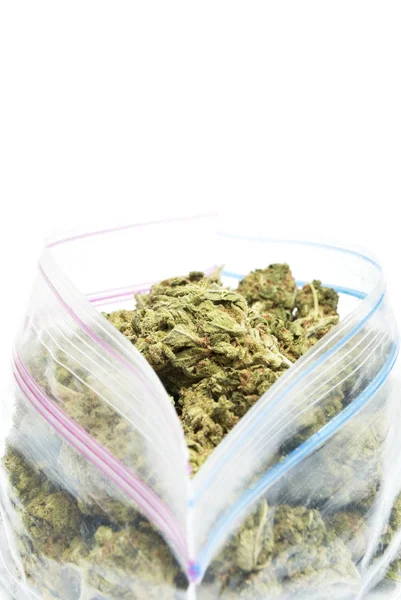 Begreppsmässig Sammansättning Marijuana Isolerad Vit Bakgrund — Stockfoto