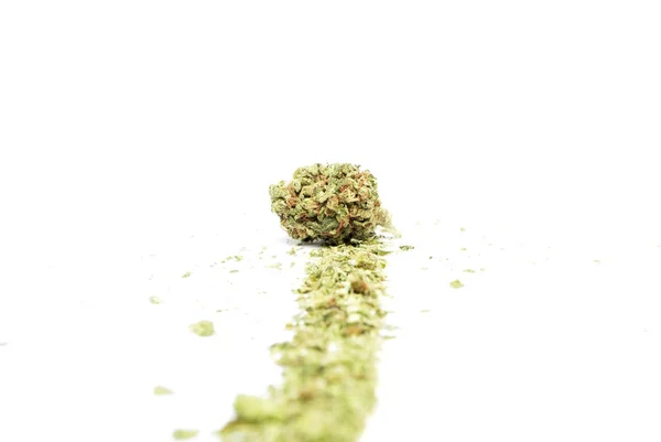 Composition Conceptuelle Marijuana Isolée Sur Fond Blanc — Photo