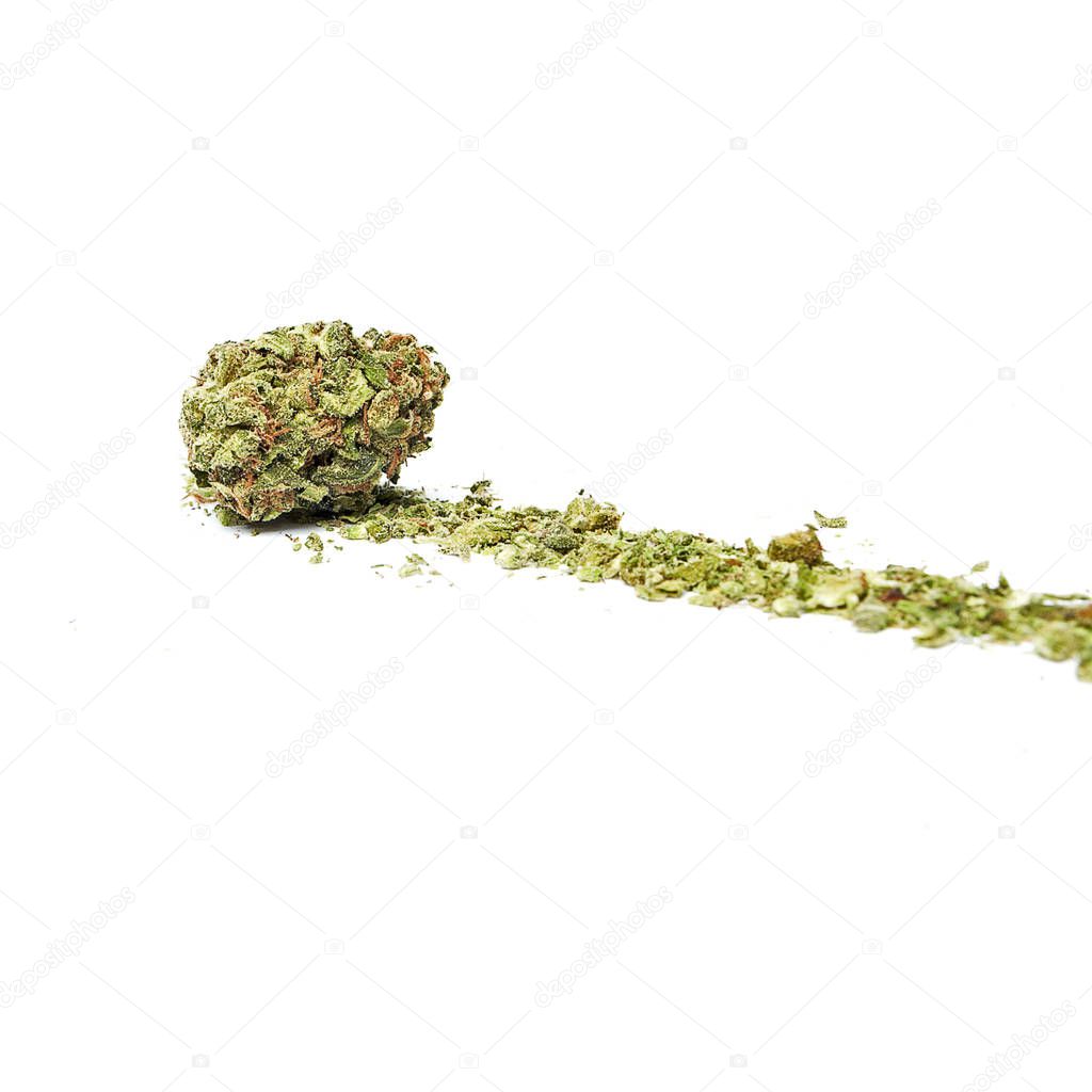 Conceptual composition of marijuana isolated on white background.