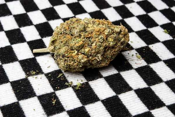 Koncepcyjny Skład Narkotyków Marihuany — Zdjęcie stockowe