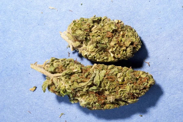 Marihuana Concept Van Verslaving Gezondheidszorg — Stockfoto