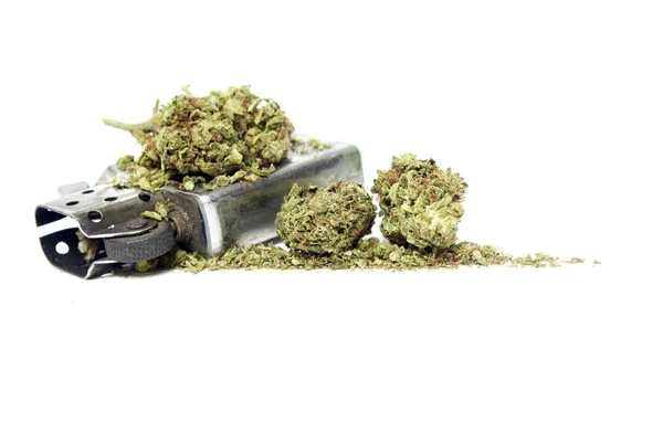 Marihuana og penger – stockfoto