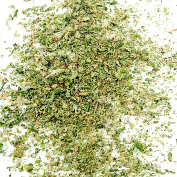 Begreppsmässig Sammansättning Marijuana Isolerad Vit Bakgrund — Stockfoto