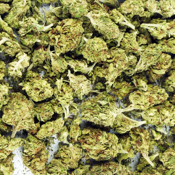 Conceptual Composition Marijuana Drugs — Stock Photo, Image
