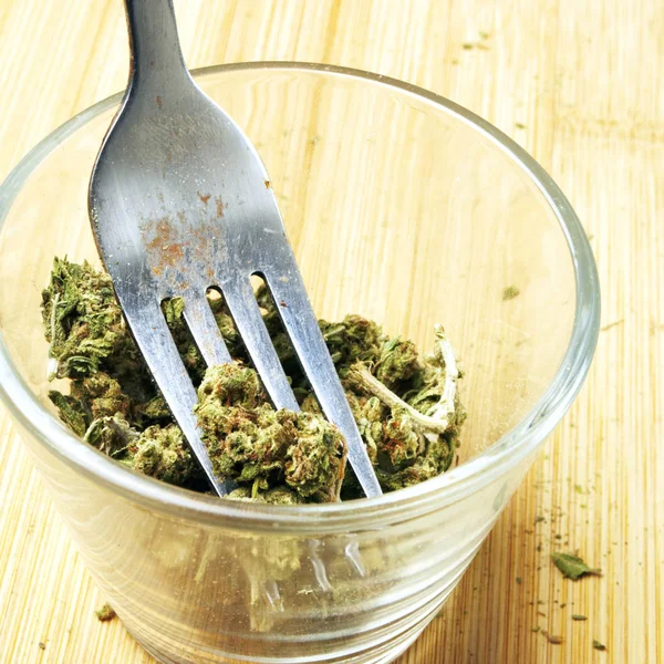 Marihuana Konzept Der Sucht Und Gesundheitsfürsorge — Stockfoto