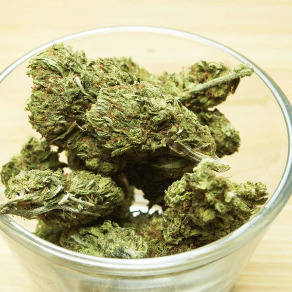 Marihuana Konzept Der Sucht Und Gesundheitsfürsorge — Stockfoto