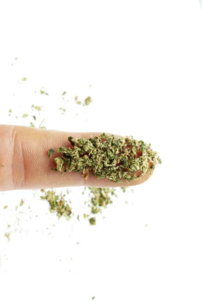 Marihuana Isoliert Auf Weißem Hintergrund Konzept Der Sucht Und Gesundheitsfürsorge — Stockfoto