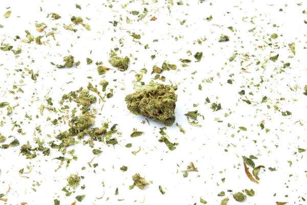 大麻孤立在白色背景上 成瘾与保健的概念 — 图库照片