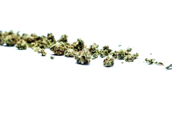 Marihuana Aislada Sobre Fondo Blanco Concepto Drogas Adicción —  Fotos de Stock
