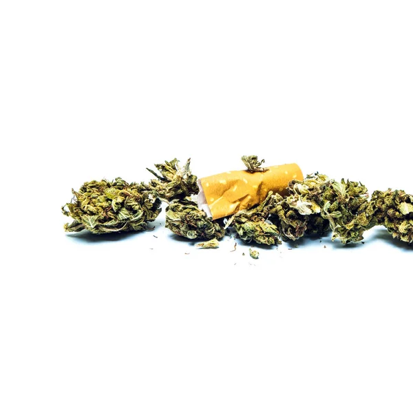 Marihuana Izolovaná Bílém Pozadí Pojetí Drog Závislosti — Stock fotografie