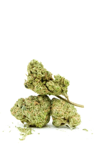 Zavřít Pohled Suchou Marihuanu Bílém Pozadí — Stock fotografie