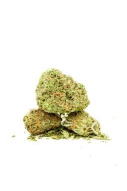 Kurutulmuş marihuananın yakından bak. Uyuşturucu bağımlılığı kavramı. Tıbbi marihuana kavramı 