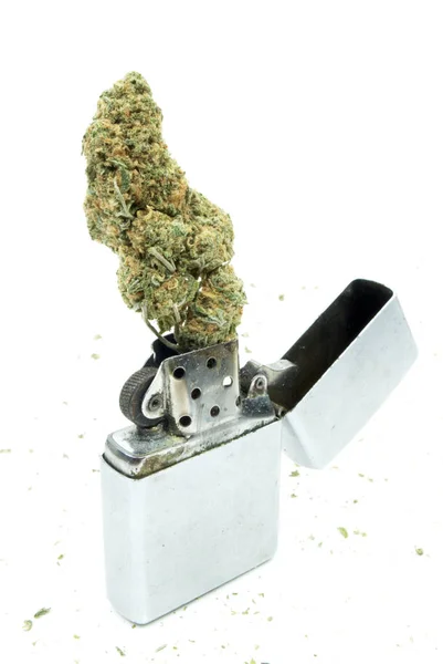 Marijuana Isolada Fundo Branco Cannabis Drogas Dependência — Fotografia de Stock
