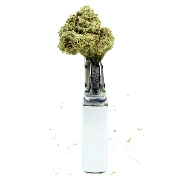 Marijuana Isolée Sur Fond Blanc Cannabis Drogues Toxicomanie — Photo