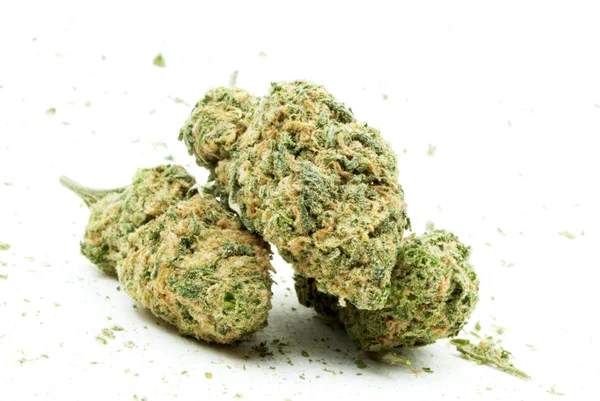 Close View Marijuana White Background — Stock Photo, Image