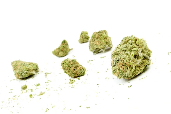 Närbild Marijuana Vit Bakgrund — Stockfoto