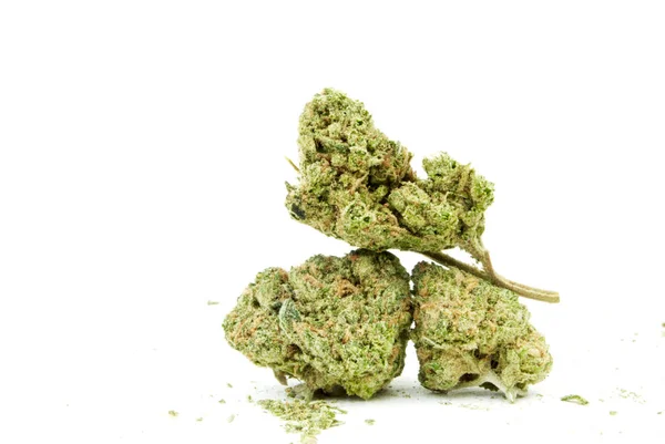 Close View Marijuana White Background — Stock Photo, Image