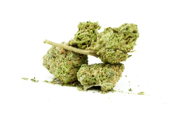 Beyaz Arka Planda Marihuana Yakından Görünümü — Stok fotoğraf