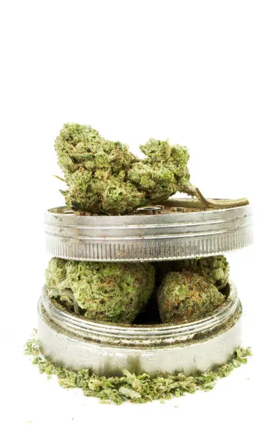 Marijuana — Stock Photo, Image