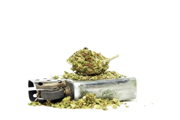 Marihuana und Geld — Stockfoto