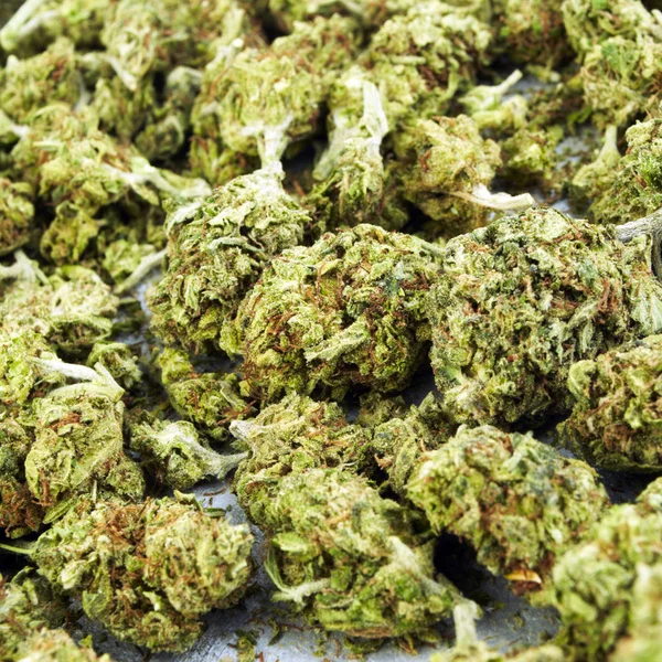 Vista Vicino Della Marijuana Essiccata Concetto Tossicodipendenza Concetto Marijuana Medica — Foto Stock