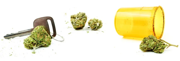 Suchtkonzept Für Marihuana Komposition Isoliert Auf Weißem Hintergrund — Stockfoto