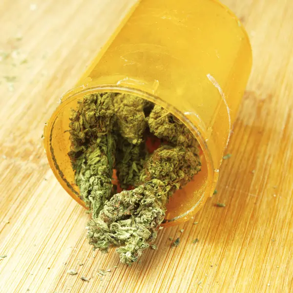 Bourgeons Marijuana Bouteille Plastique Vue Rapprochée — Photo