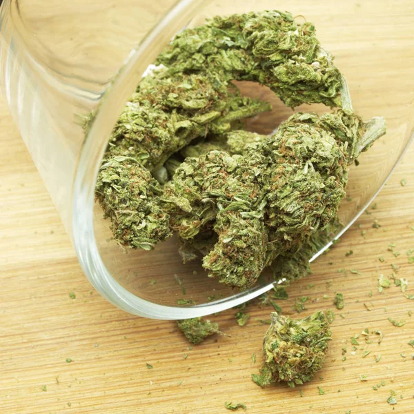 Marihuana Knospen Glas Nahsicht — Stockfoto