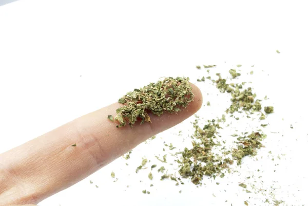 Marijuana Narkotikamissbruk Koncept Komposition Isolerad Vit Bakgrund — Stockfoto