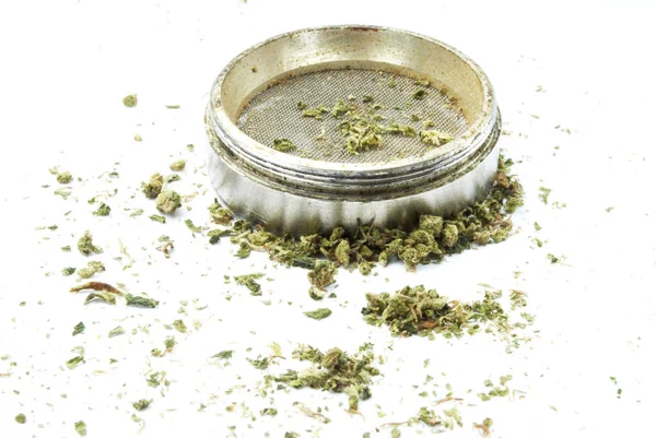 Vista Vicino Marijuana Frantoio Sfondo Bianco — Foto Stock