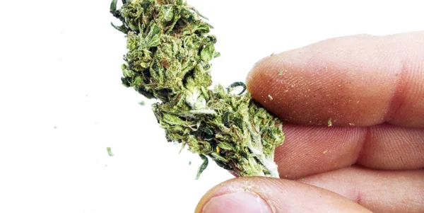 Concepto Adicción Marihuana Cannabis Puede Utilizar Con Fines Médicos —  Fotos de Stock