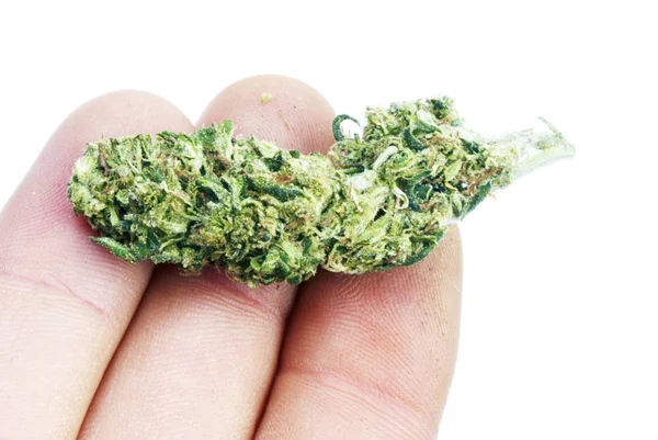 Suchtkonzept Für Marihuana Cannabis Kann Für Medizinische Zwecke Verwendet Werden — Stockfoto