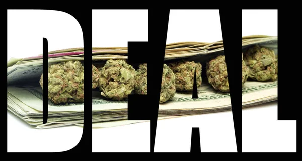 Nápis Marihuanou Penězi Uvnitř Černém Pozadí — Stock fotografie