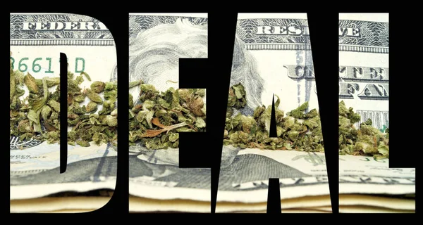 Deal inscription with marijuana and money inside on black background