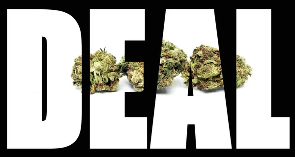 Deal Napis Marihuaną Wewnątrz Czarnym Tle — Zdjęcie stockowe