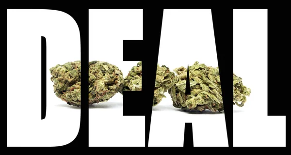 Deal Inscription Marijuana Black Background — Stock Photo, Image