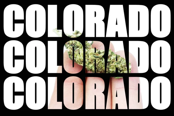 Colorado Tekstpatroon Met Cannabis Achtergrond — Stockfoto