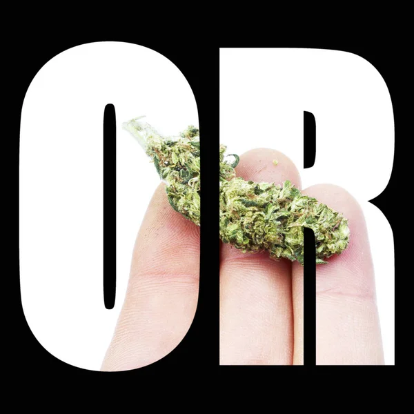 Logo Con Cannabis Macinata — Foto Stock