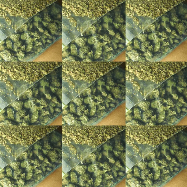 乾燥マリファナとのシームレスなパターン — ストック写真