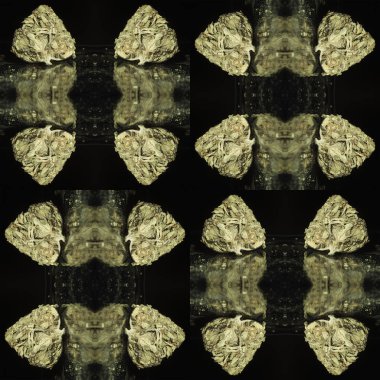 Marihuana tomurcukları ile dikişsiz desen